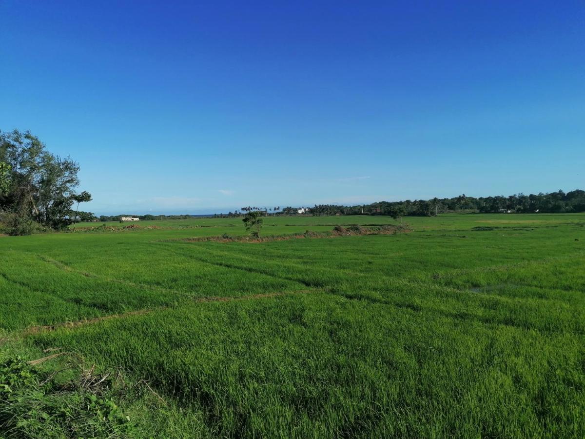 Ladja Beach Resort Ambalantota Luaran gambar